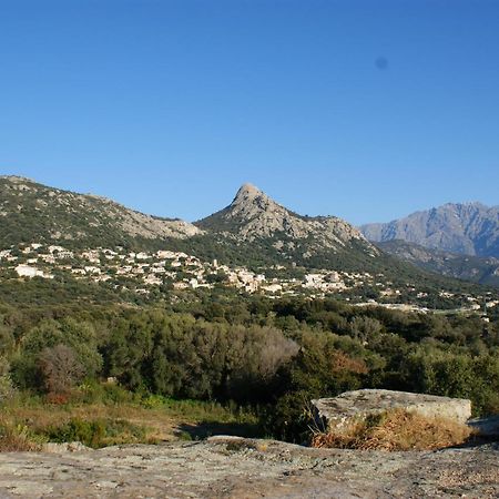 Joli 2 Chambres Sur Lumio, Vue A Couper Le Souffle. Bagian luar foto