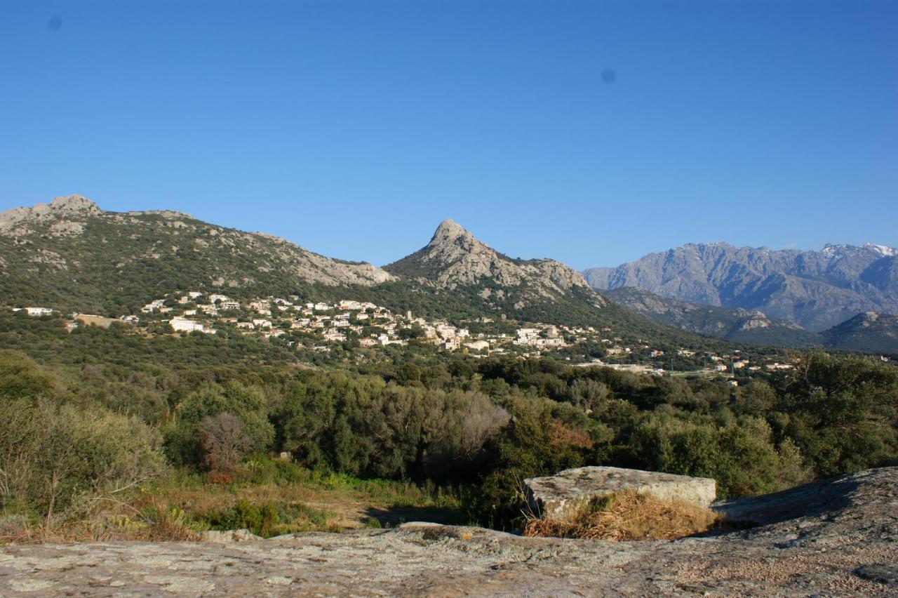 Joli 2 Chambres Sur Lumio, Vue A Couper Le Souffle. Bagian luar foto